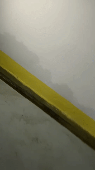 0.jpg