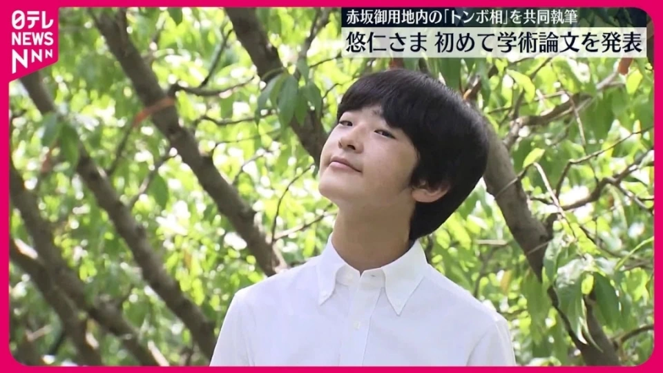 ձҶʣ໨񷢶ţǿвɢ໨