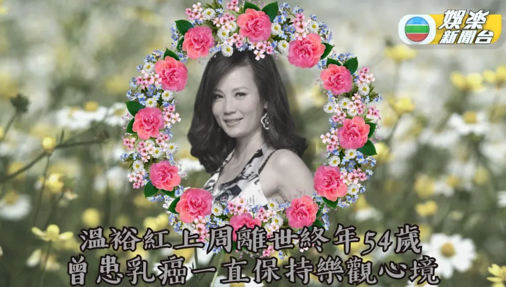 TVBԣ첡ţ鰩18긴л˥߼񾭲