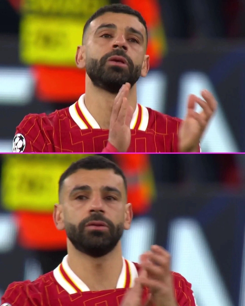 ŷڳ֣޶Ŀܣȫȡ
