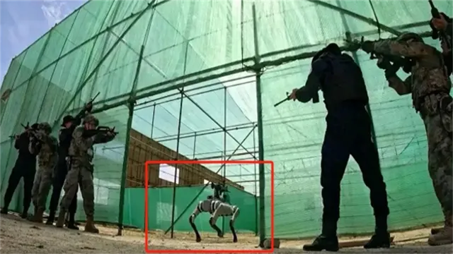 ͷƲܵйװ˽ȴ