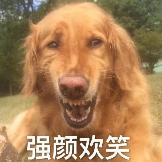 𳿣һСǡ