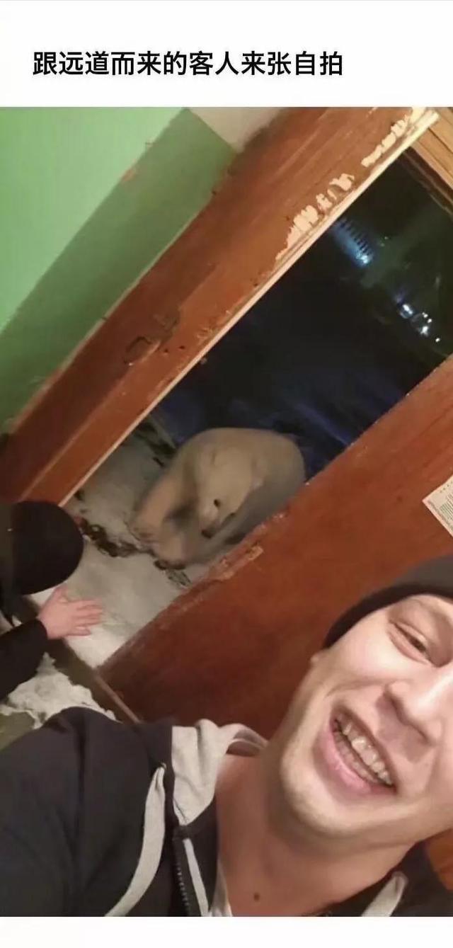 ǿս