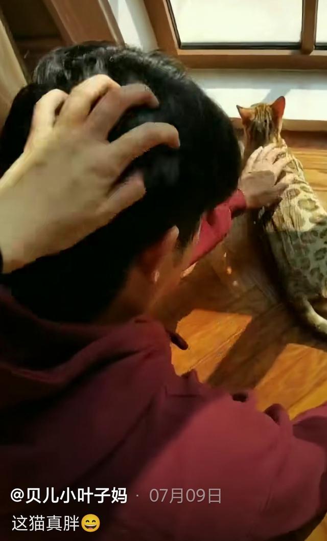 45걫ɹɷճ̫ݣ½