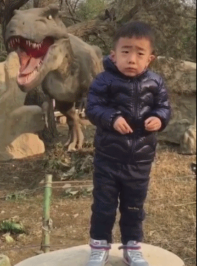 ӡСƷŮʲôѸ